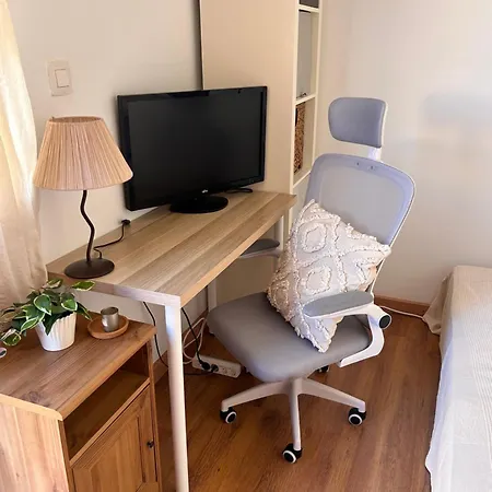 Bejeque & Barbecue *